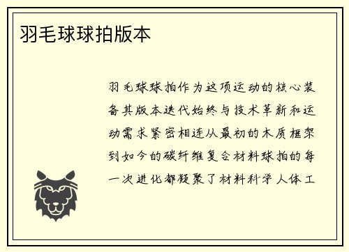 羽毛球球拍版本